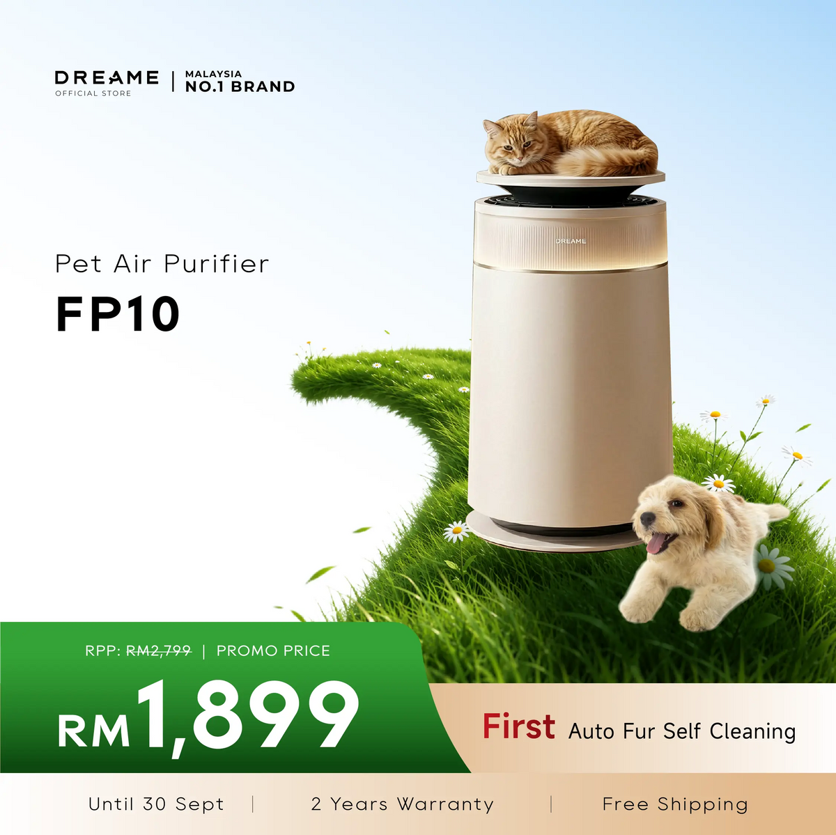 Dreame FP10 Air Purifier