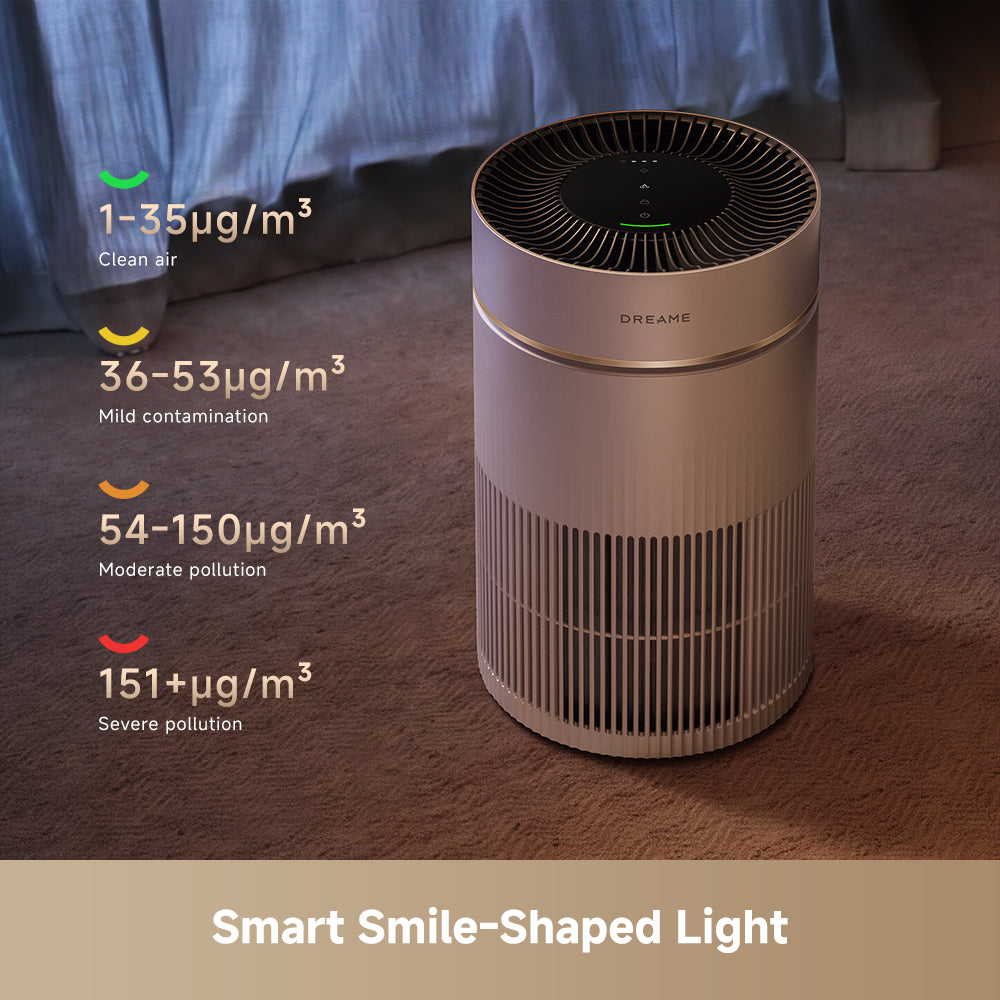 Dreame TP10 Portable Air Purifier